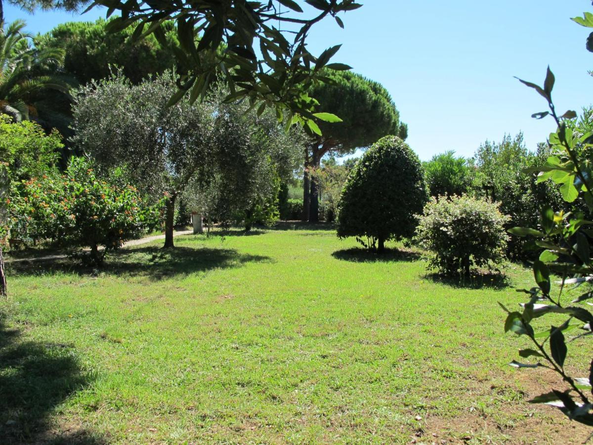 Apartmán Casaisoladelba Lacona Exteriér fotografie